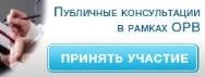 Публичные консультации в рамках ОРВ